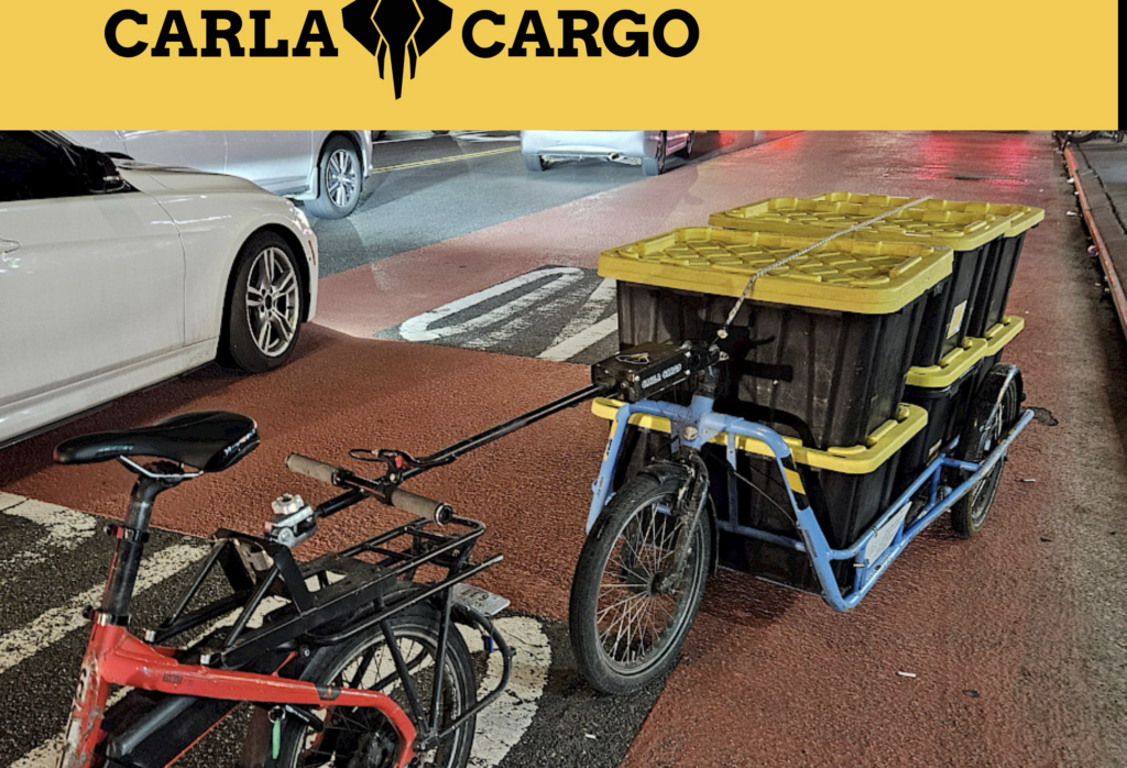 Screenshot Carla Cargo Website